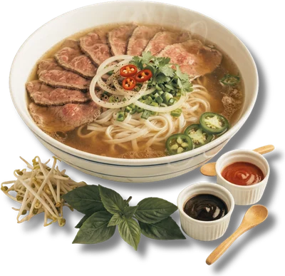 Special Phở — rare steak over flat rice noodle with herbs, sprouts and sauces